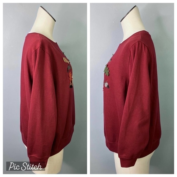 Rebecca Malone Petites Autumn Squirrel Applique Faux Layered Sweatshirt Size PXL - Picture 2 of 16